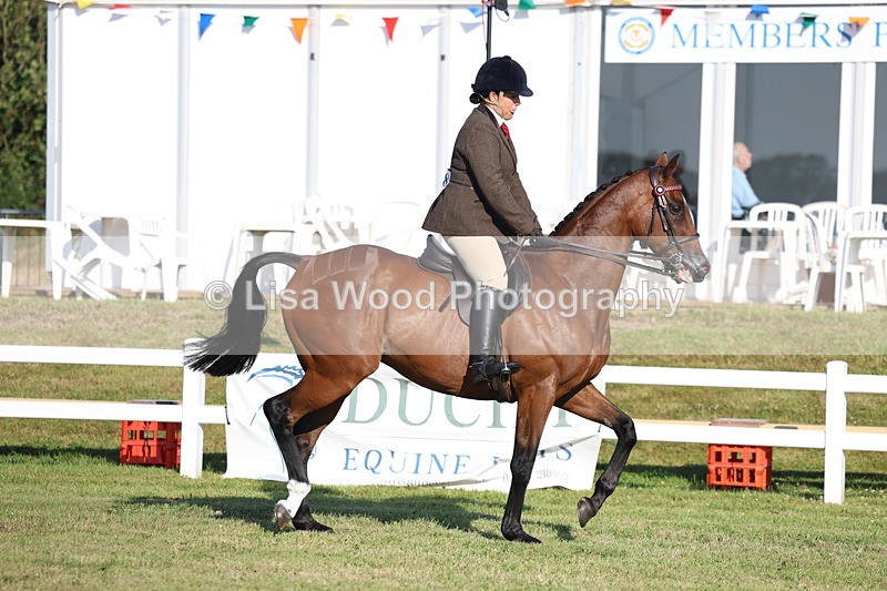 3E7A4914 - Class 1: Rising Star Small Hack/Riding Horses