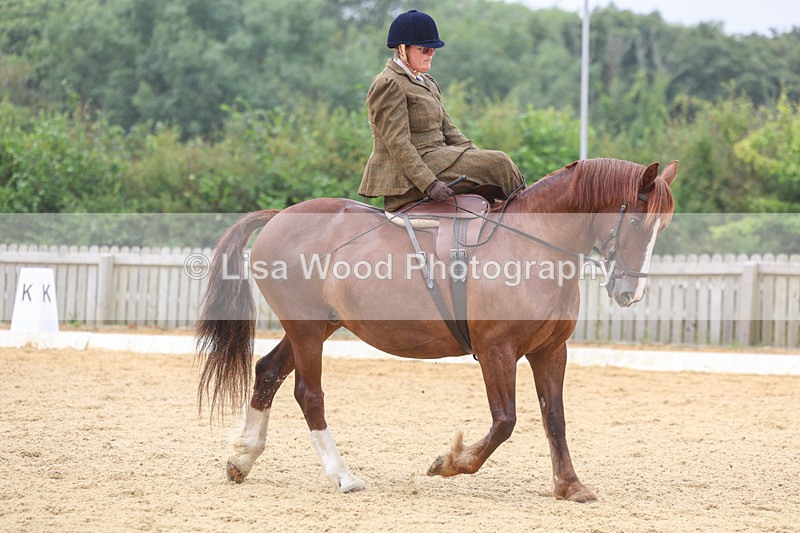 3E7A5468 - Class 2: Intro 4 2024 section B