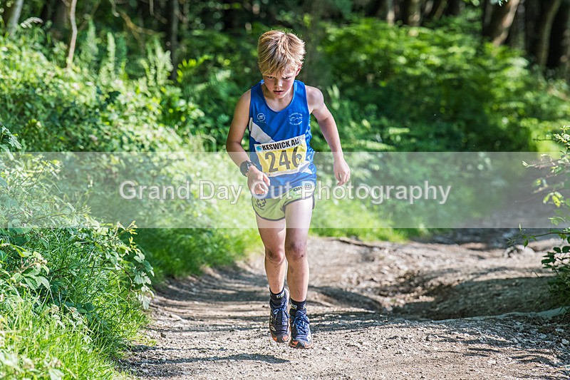 Latrigg Junior-96 - Round Latrigg Junior Fell Races Wednesday 11th June 2025