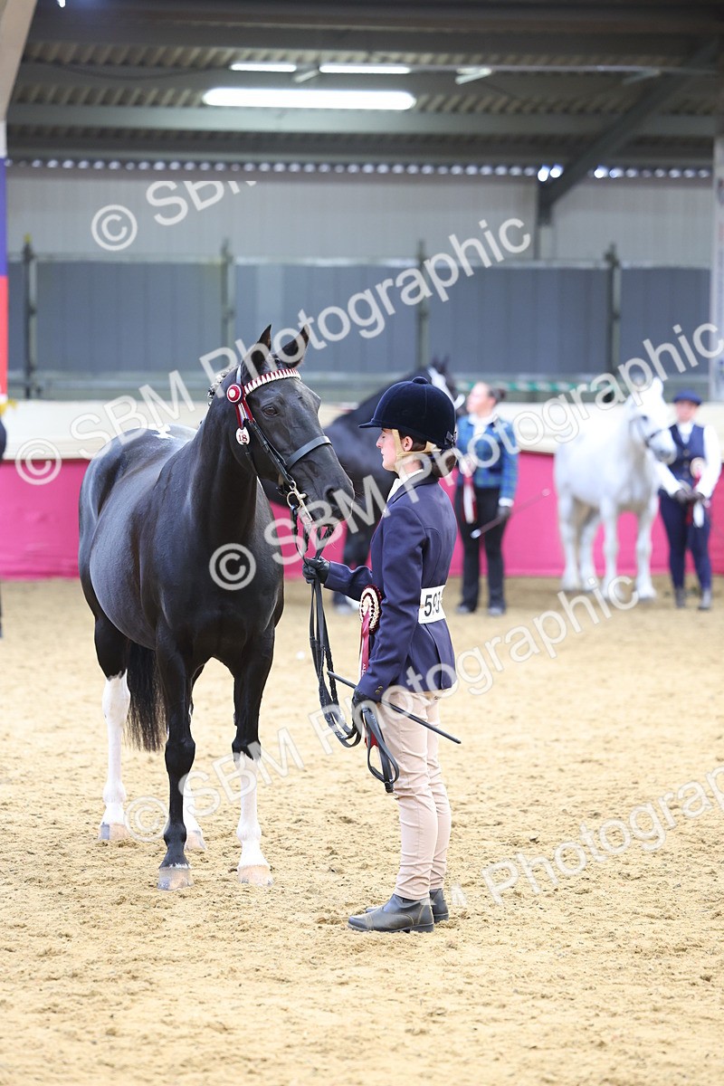 SBM_23002 - Class 903 - Supreme Final - IH Pre Vet