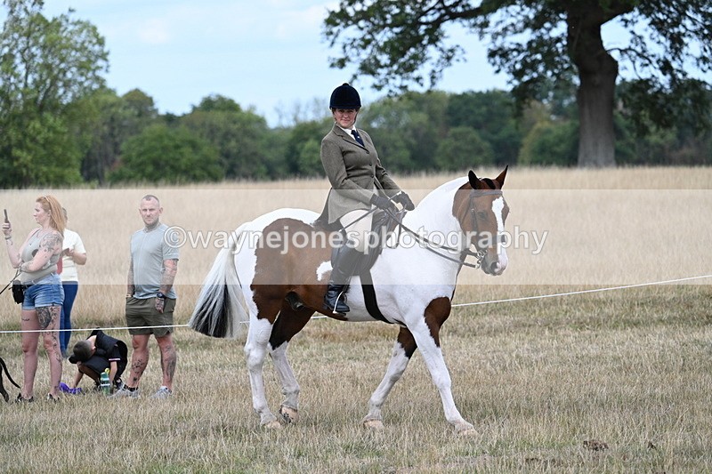 WJ7_5392 - Class 12 Ridden Cob