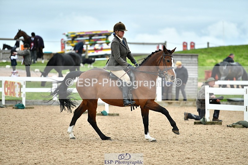 230416A-143401-05269 - Cls 74 Warmblood