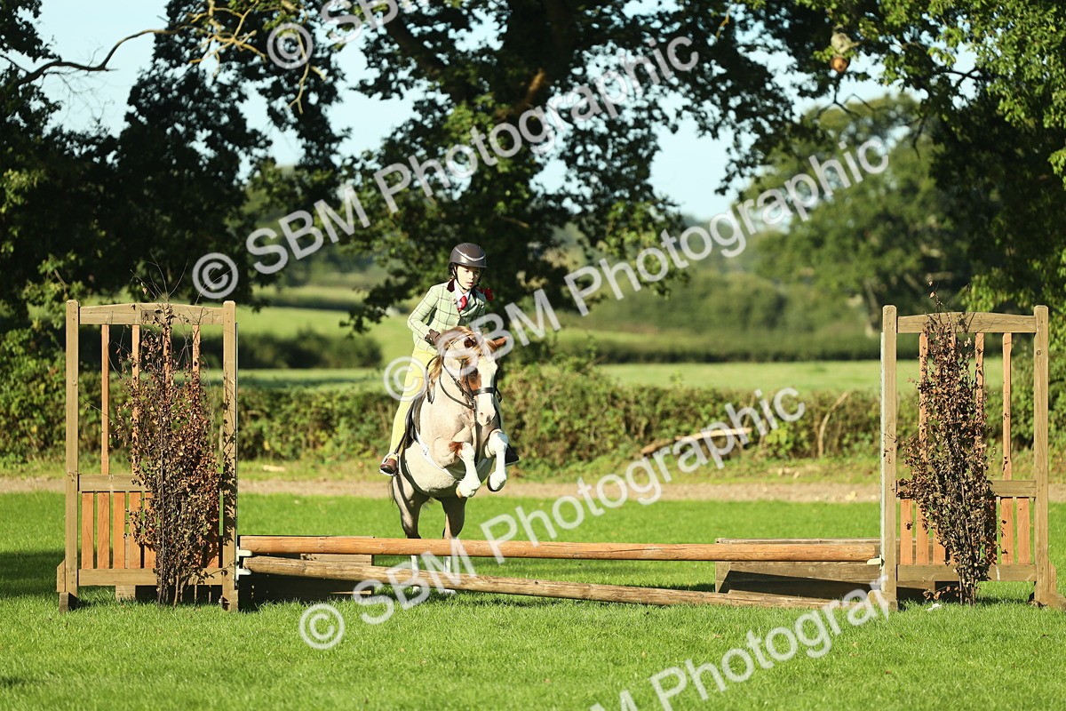 SBM_36358 - S29 - Novice & Newcomers Working Hunter Pony