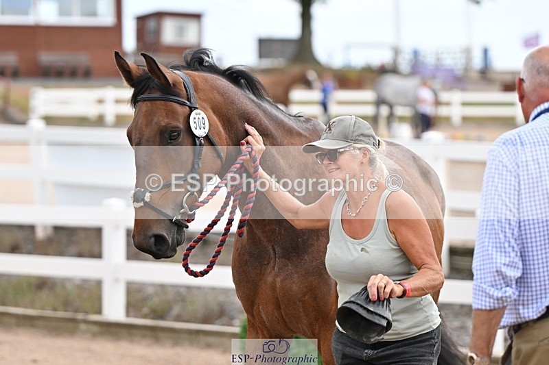 250716-145934-01592 - Trot Up 2.30 to 3.30