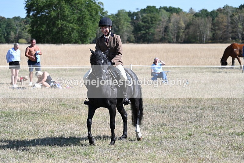 WJ7_3818 - Class 9 Mountain & Moorland Ridden