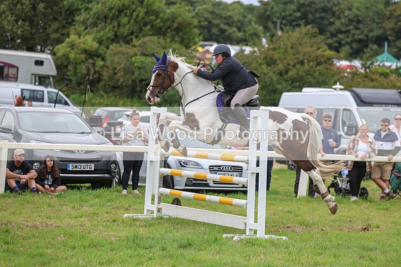 3E7A8023 - Class 7: Senior Newcomers/1.10m open
