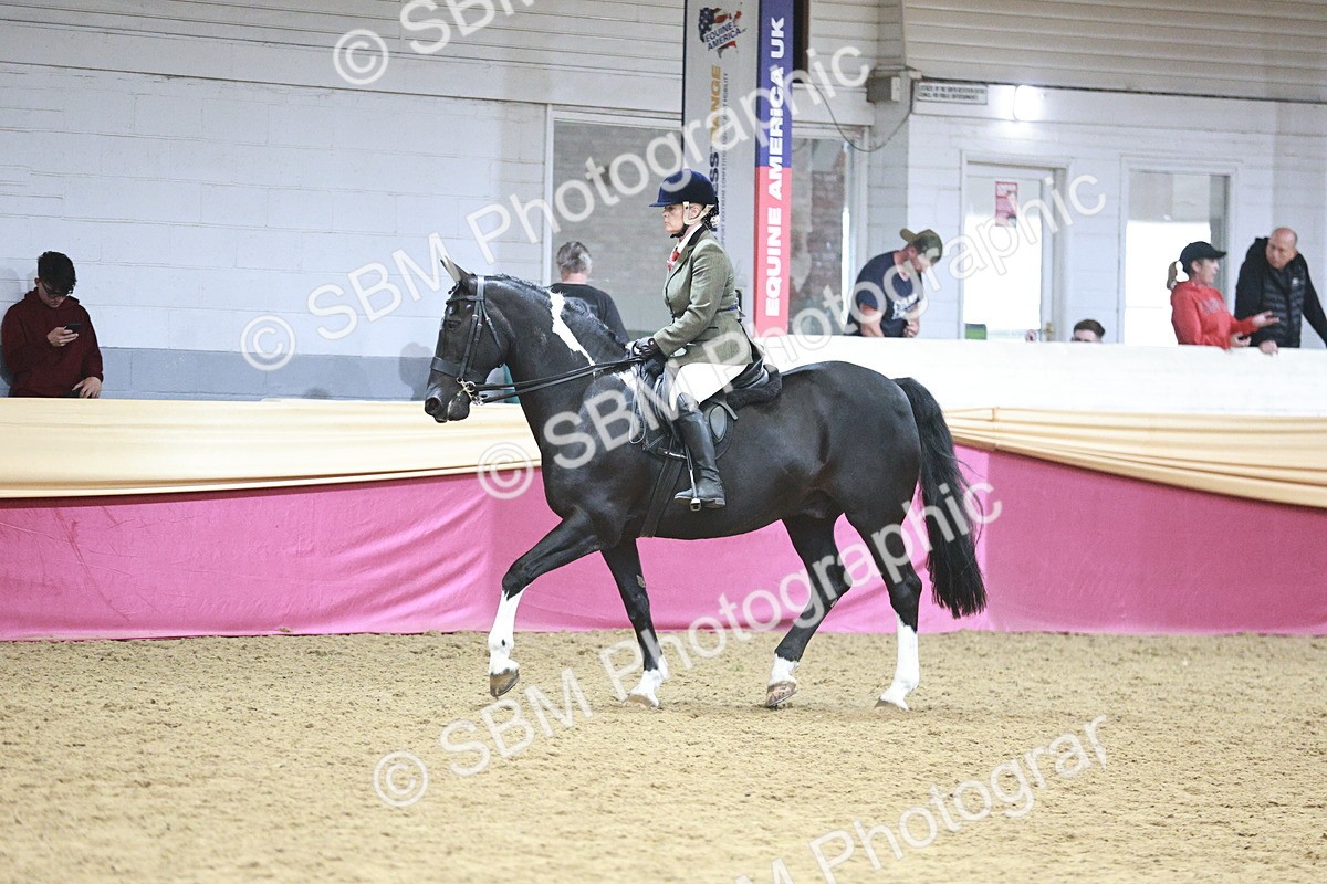 SBM_08976 - Class 12R - Regional Ridden Pre-Vet