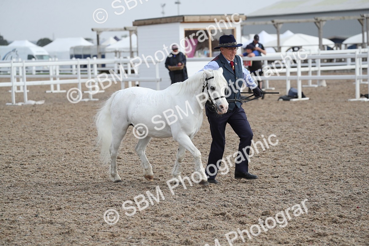 SBM_23151