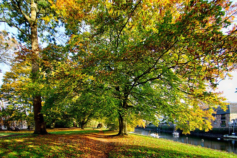 Autumn Totnes 3 - Devon Misc