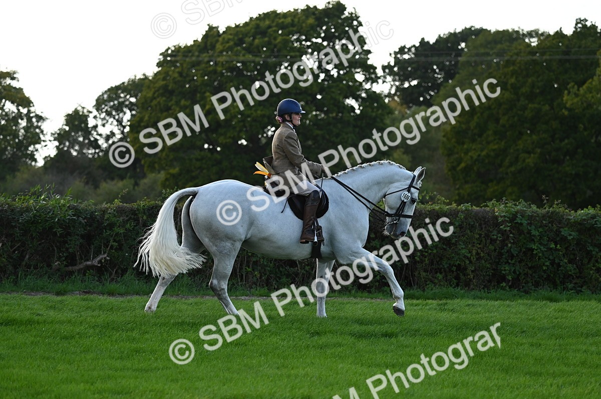 SBM_26518 - S6 - Novice & newcomer Ridden horse
