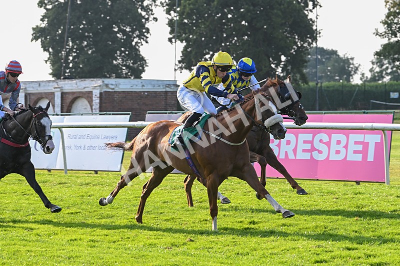 300824-Race 8-Captain Corelli-6663 - Race 8