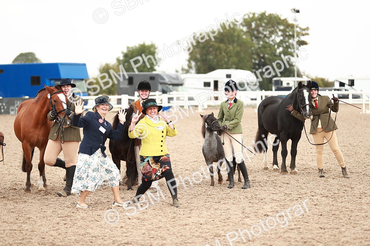 SBM_11941 - Class 206 IH Non Show Type Pony