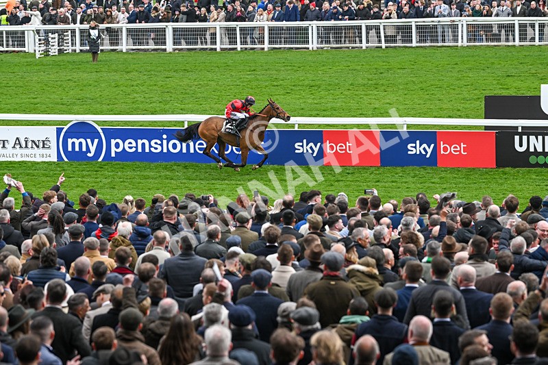 110325-Race 3-Myretown-2485 - 11th March