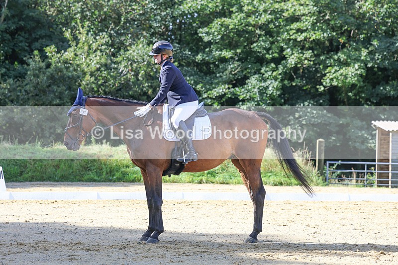 3E7A2589 - Class 1: Intro 4 2024 section A