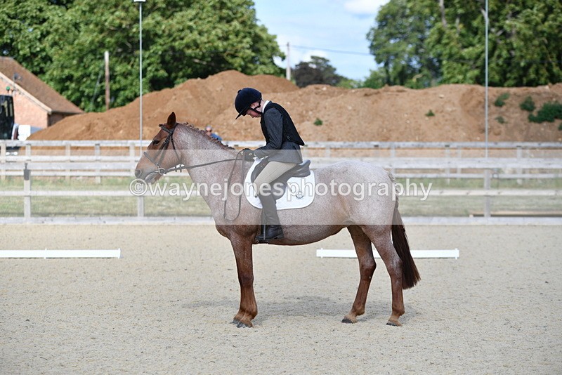 WJ5_8034 - Time 16:56 to 17:14