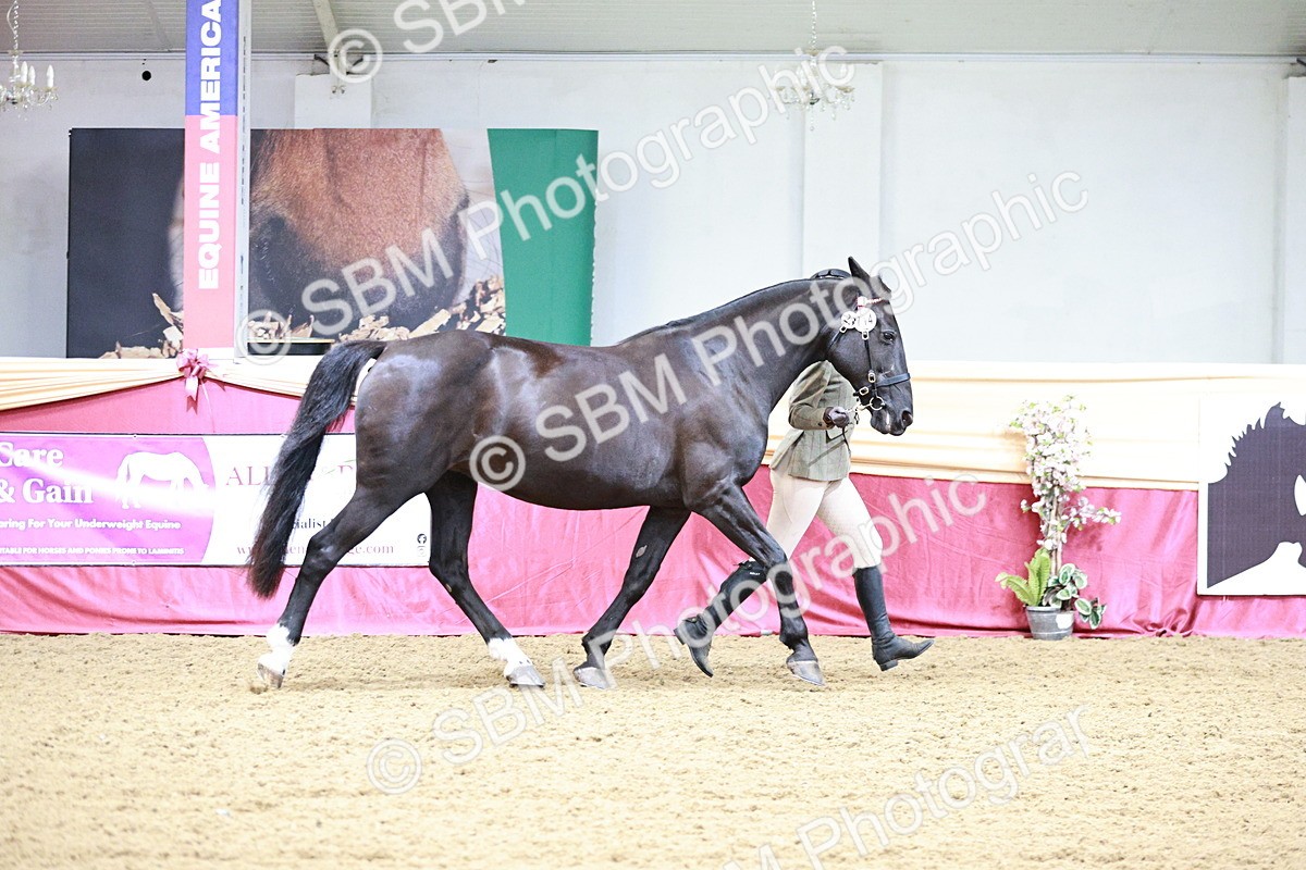 SBM_00906 - Class 2A - Area IH Veteran