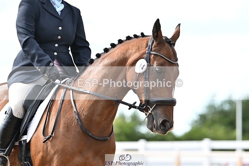 240622A-172024-15277 - Cls 7B+C Elementary 44 RoR