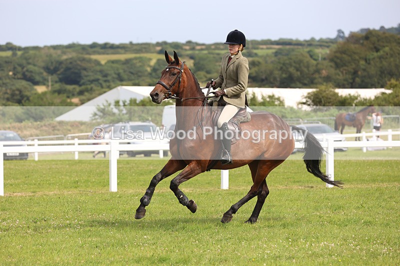 JPP_4065 - Class 24: Working Hunter 90cm