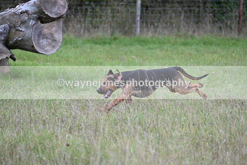 WJ7_3516 - Camera 1 Line 1