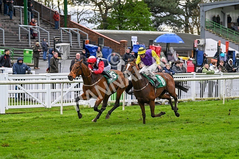  - Race 5