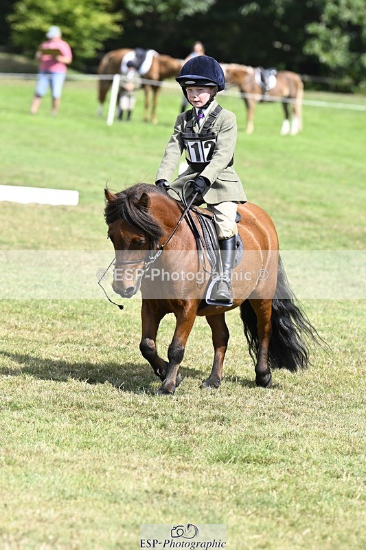 250822A-115730-22482 - DR 11.00 to 12.00