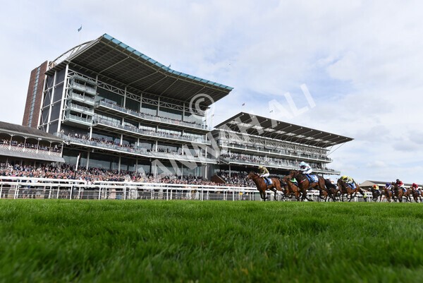 yr13052022r6-23 - Race 6 4.45pm Yorkshire Equine Practice Stakes