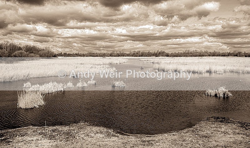 20150404-20150404-3K8A8329-3409-3414-3415-2 - Woolston Eyes Nature Reserve