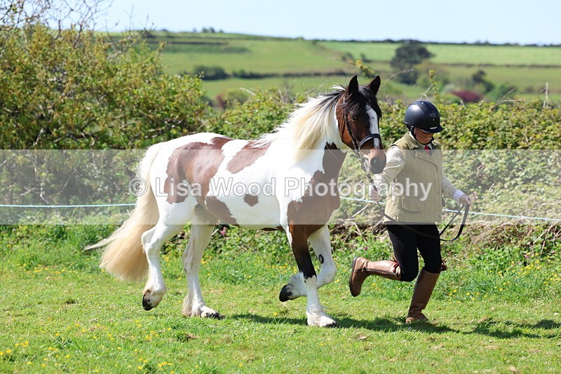 3E7A0284 - Class 19: Best Coloured in Hand