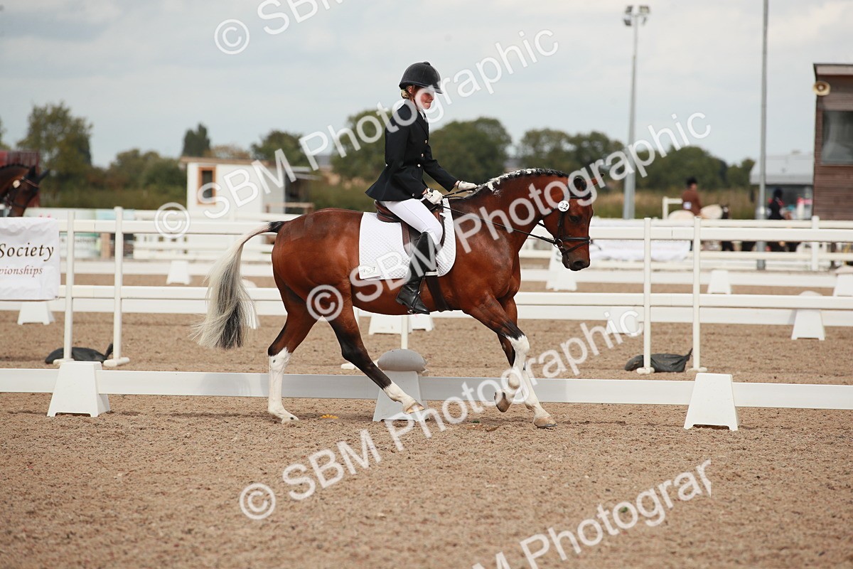 SBM_05923 - Class 32 - Novice 1