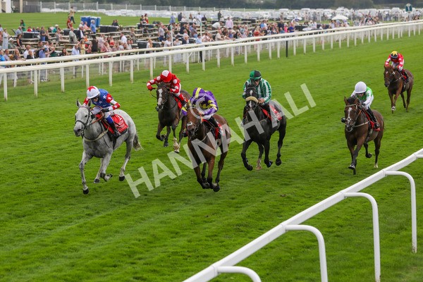 100923-Pony Race 2-3705 - Pony Race 2 12.45 The Dragon (TV and Film) Studios Pony Race 148cm & Under