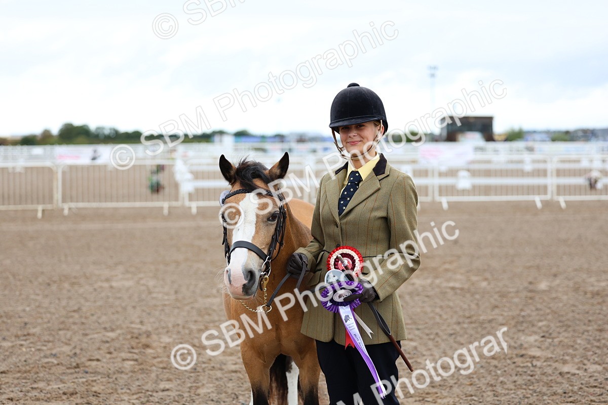SBM_00265 - Class 13 - Young Handler