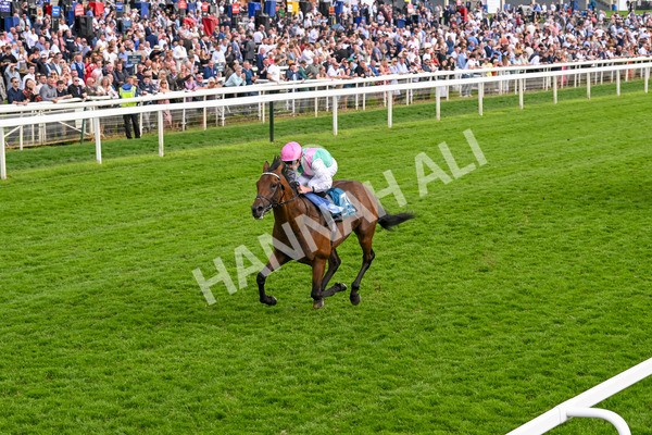 170524-Race 5-Lead Artist-8327 - Race 5 4.15pm  Darley EBF Novice Stakes