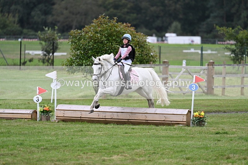 WJ7_8491 - 60cm Time 12:11 to 12:30