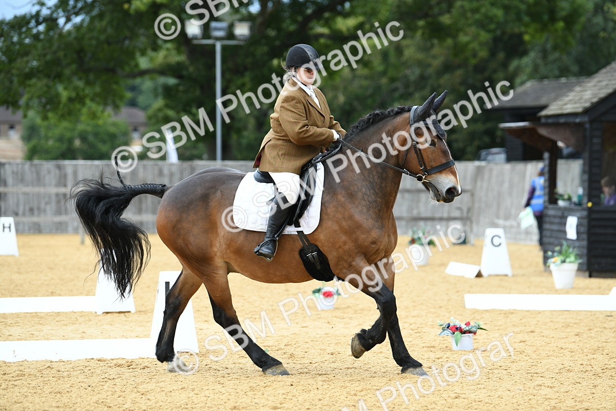 SBM_10040 - D15 Small Tour Championship Novice 24