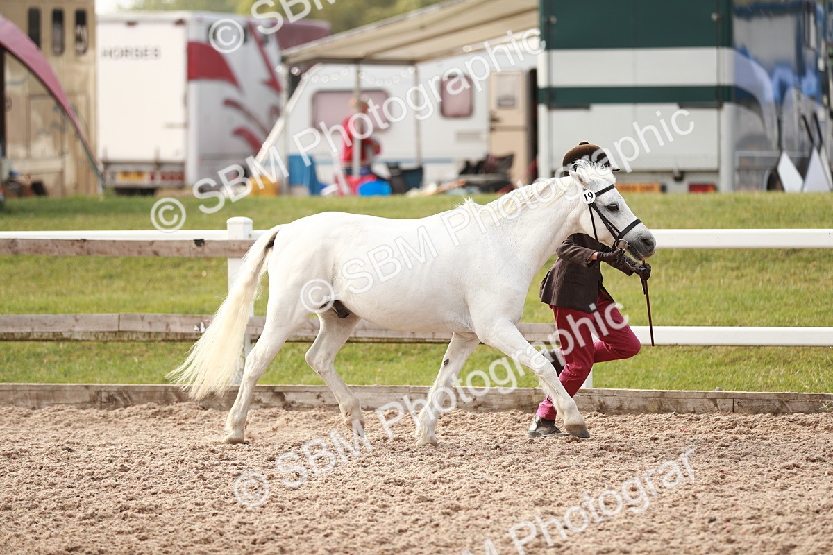 SBM_10517 - Class 204 Young Handler, 11-16 years