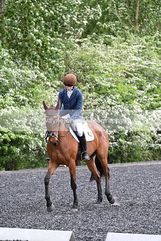 WJ7_1906 - Time 15:05 to 15:27