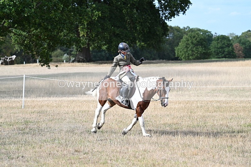 WJ7_7906 - Ridden Championship