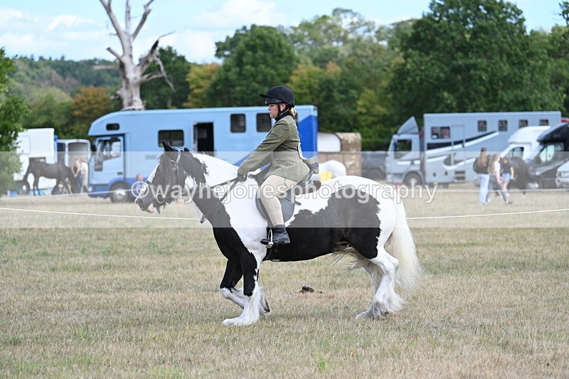 WJ7_6924 - Class 14 Ridden Coloured