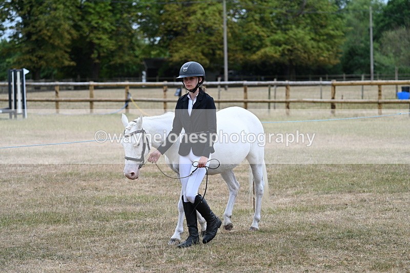 WJ7_8023 - Class 4 Prettiest Mare up to 14.2hh