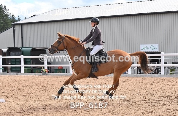 BPP_6187 - CLASS 11 THURS GFS Saddles Senior Newcomers/1.10m Open