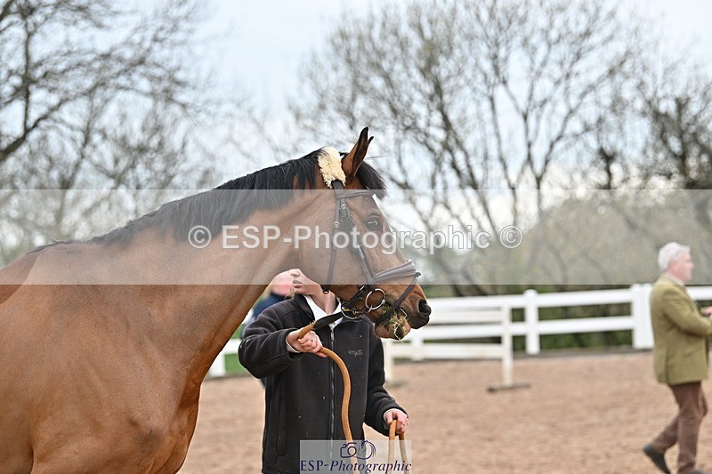 250423-160527-01942 - 4pm to 5pm