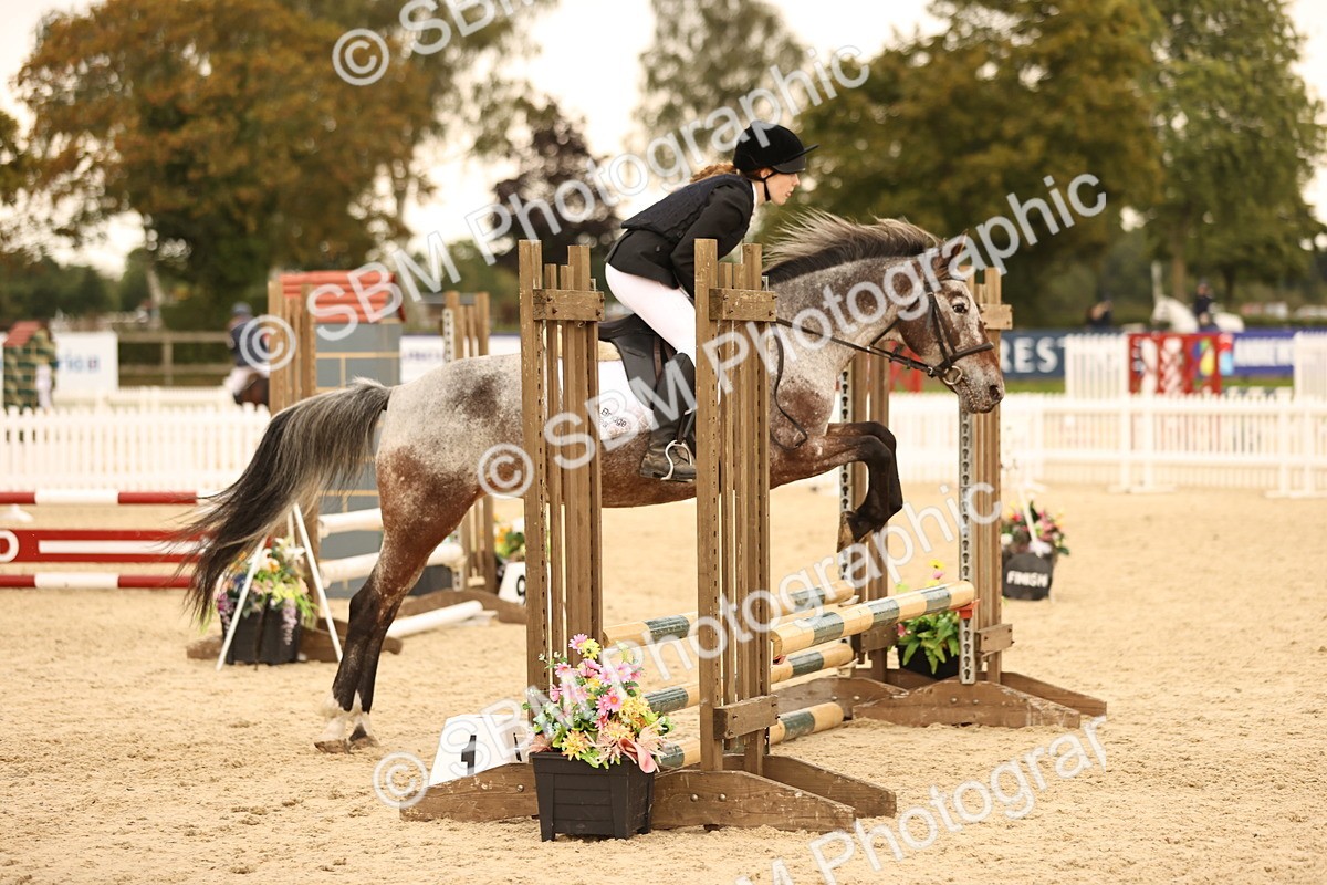 SBM_74261 - J14 - Junior Pony 65cm Championship