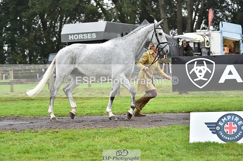 231018-122104-00231 - 029-KING.LOUIS-Mary.King-TrotUp