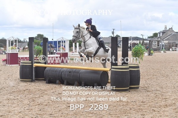 BPP_2289 - DERBY CLASS 6 - 70CM