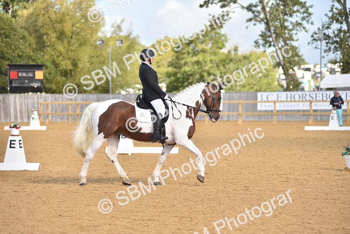 SBM_02935 - D4 - Small Tour Championship Intro 4
