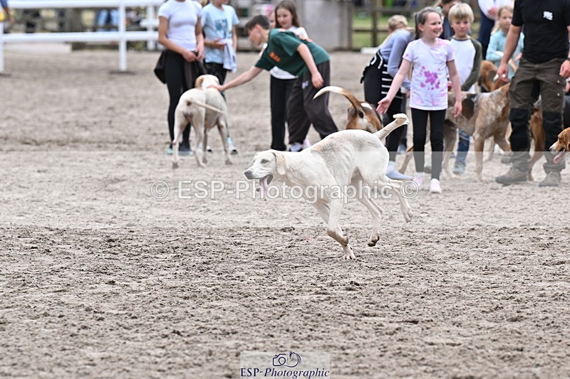 250524A-152517-12735 - East Devon Hounds