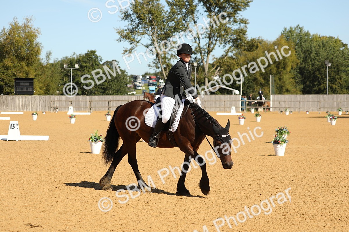 SBM_18812 - D10 - Small Tour Championship - Prelim 2