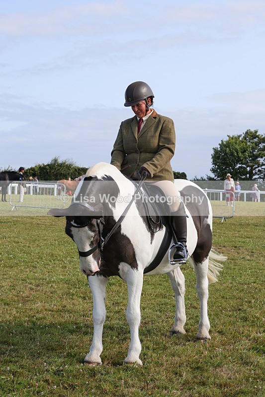 1X9A3324 - Class 28: Ridden Native/Trad Coloured Pony