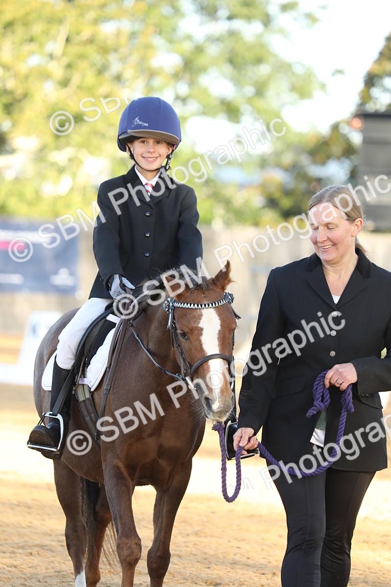 SBM_33654 - D26 - Starers - Lead Rein