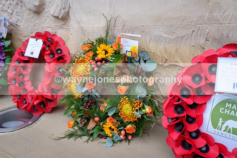 NGP_8337 - 2024 Animals in War Remembrance Gathering